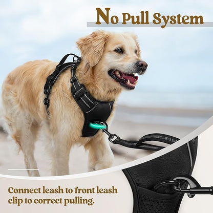 rabbitgoo Dog Harness, No-Pull Pet Harness with 2 Leash Clips, Adjustable Soft Padded Dog Vest, Reflective No-Choke Pet Oxford Vest with Easy Control Handle for Small Dogs, Black, S