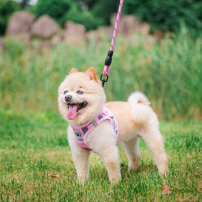 BEAUTYZOO Small Dog Harness and Leash Set,Step in No Chock No Pull Soft Mesh Dog Harnesses Reflective for Extra-Small/Small Medium Puppy Dogs and Cats, Plaid Dog Vest Harness for XS S Pets, Pink XXS