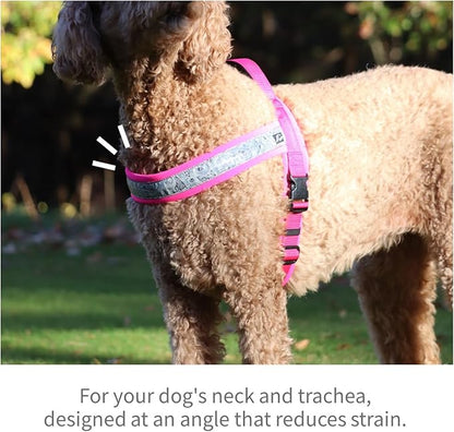 【Hakusan】 New Just Fit Dog Harness Dragon - Reflective, Paisley, Stress-Free, Japanese Made,one-Touch Buckles,Easily Put on,(Red×Black, 2)