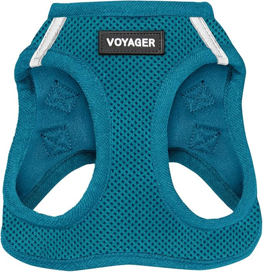 Voyager Step-In Air Dog Harness - All Weather Mesh, Reflective, No Pull Harness for Small, Medium Dogs, Cats - Secure with Hook & Loop Fastener, Buckle, Double D-Rings - Turquoise, XXS