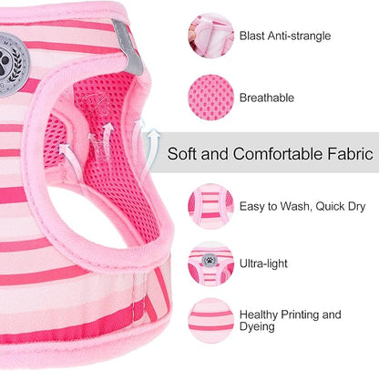 BEAUTYZOO Dog Harness and Leash Set for Small Dogs,No Pull Step-in Harness for Puppy XS S Sized Dogs and Cats,Air Mesh Adjustable Breathable Soft No Chock Escape Proof Vest Harnesses,Striped Pink XXS