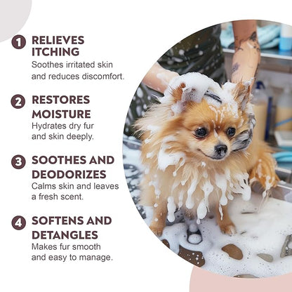 Smiling Paws Pets Oatmeal & Aloe Pet Shampoo with Pet Brush, 16oz, Fresh & Clean Scent