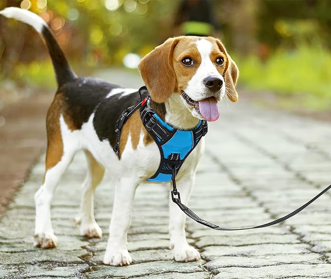 PoyPet No Pull Dog Harness, No Choke Front Clip Dog Reflective Harness, Adjustable Soft Padded Pet Vest with Easy Control Handle for Small to Large Dogs(Blue,M)
