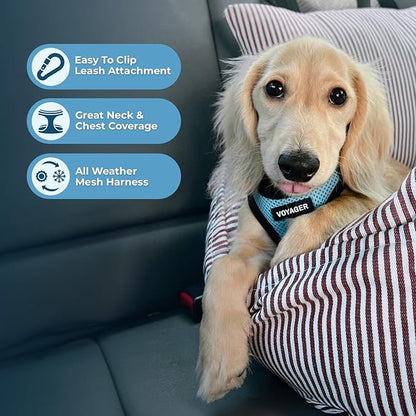 Voyager Step-in Air Dog Harness - All Weather Mesh, Reflective, No Pull Harness for Small, Medium Dogs, Cats - Secure with Hook & Loop Fastener, Buckle, Double D-Rings - Baby Blue/Black Trim, L