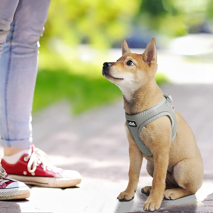 TwoEar Dog Vest Harness Reflective, No-Pull Pet Harness Easy Control with Breathable Mesh, Soft Puppy Step-in Harness No-Choke for Outdoor Walking, Training for Small Dogs(S, Grey)