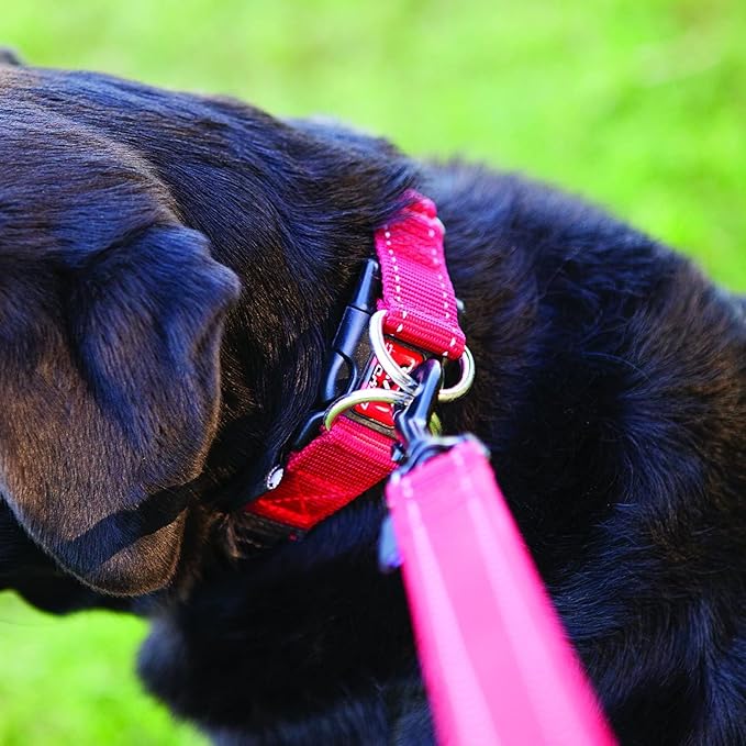 EzyDog Double Up Premium Nylon Dog Collar with Reflective Stitching - Double D-Rings for Superior Strength, Safety, and Comfortability - Non-Rusting and Includes an ID Attachment (Medium, Black)
