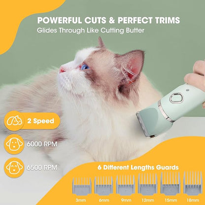 Upgrade Dog Grooming Kit, Cordless Dog Paw Trimmer, 4 in 1 Low Noise Pets Hair Clipper Grooming Kit, 2-Speed Nail Grinder with Stainless Steel Blade for Small Pet with Thick Coats (Green)