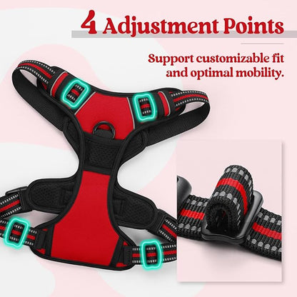 rabbitgoo Dog Harness, No-Pull Pet Harness with 2 Leash Clips, Adjustable Soft Padded Dog Vest, Reflective No-Choke Pet Oxford Vest with Easy Control Handle for Small Dogs, Red, S