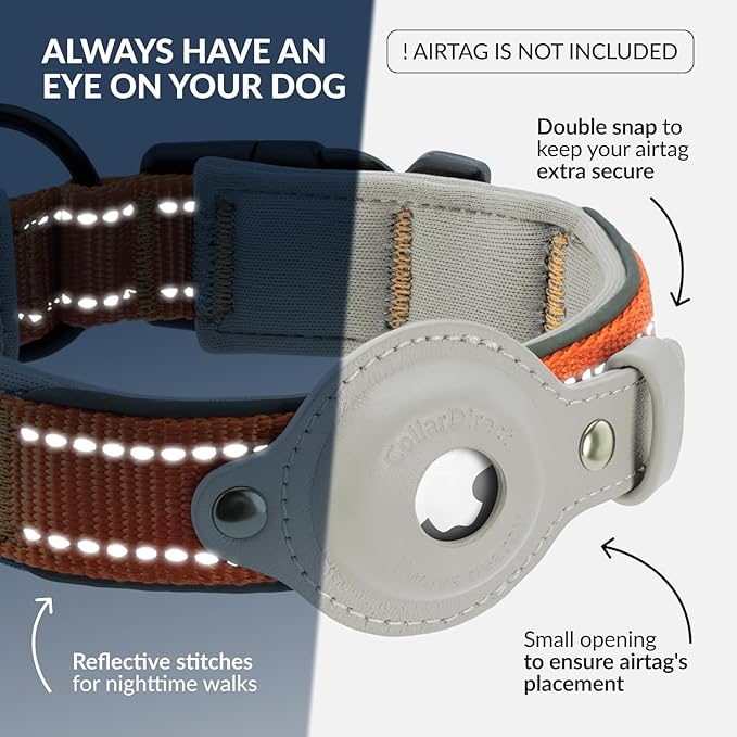CollarDirect Airtag Dog Collar Reflective Nylon Neoprene Leather Holder for Apple Air Tag for Large, Medium, and Small Dogs (Orange, S, 12-14.5 Inch)
