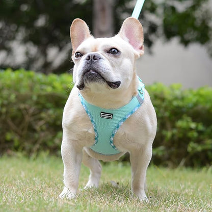 Mercano Soft Mesh Dog Harness and Leash Set, No-Chock Step-in Reflective Breathable Lightweight Easy Walk Escape Proof Vest Harnesses with Safety Buckle for Small Medium Dogs, Cats (Light Green, S)