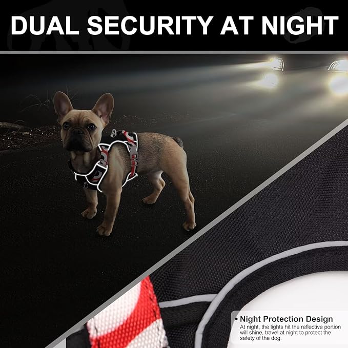 No Pull Dog Harness and Leash Set,Reflective Dog Harness with Easy Control Soft Handle, Adjustable and Comfortable for Easy Walking,Fit Small Medium Large Breed Dogs,Black,L