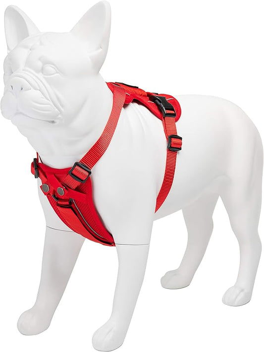 Voyager Freestyle 4-in-1 Dog Harness - Patent Pending Adjustable Webbing Harness with Removable Padding for Small to Large Dogs by Best Pet Supplies - Red, XS