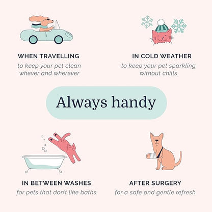 Hepper Waterless No Rinse Dry Shampoo for Dogs, Cats, and Other Pets. Dry Shampoo Foam in Only One Pump. No Rinse, No Bath, No Fuss —Just Brush. Dog/Cat Wash for The Difficult Dirty Pet