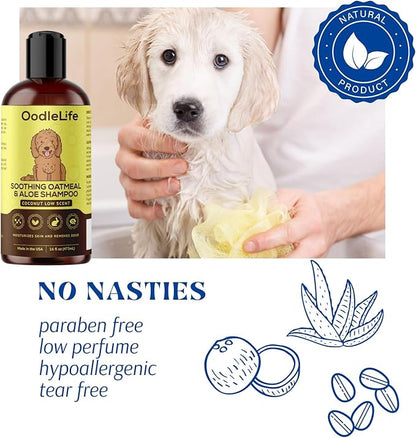 Dog Shampoo and Conditioner Aloe Oatmeal + Coconut 16 fl oz - Natural Dog Shampoo Sensitive Skin Dog Breeds, Moisturising, Dog Shampoo for Smelly Dogs, Goldendoodles