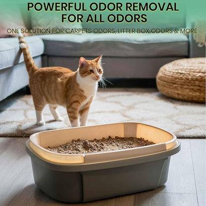 ZORBX Unscented Pet Odor Remover Spray 16 FL Oz - Perfume Free Strong Litter Odor Remover - Advanced Odor Control for Carpet, Bathroom & Urine Odors - Fast Acting Odor Remover Spray for Dogs & Cats