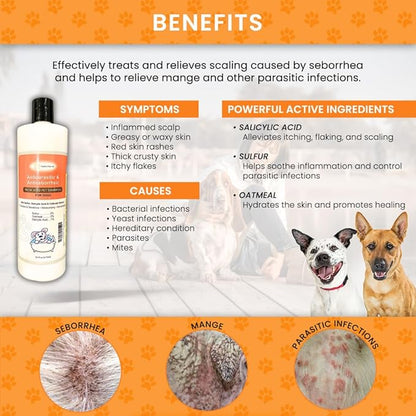 Skin & Coat Care Combo - Lime Sulfur Dip 16 oz + Antiparasitic & Antiseborrheic Dog Shampoo 16 oz
