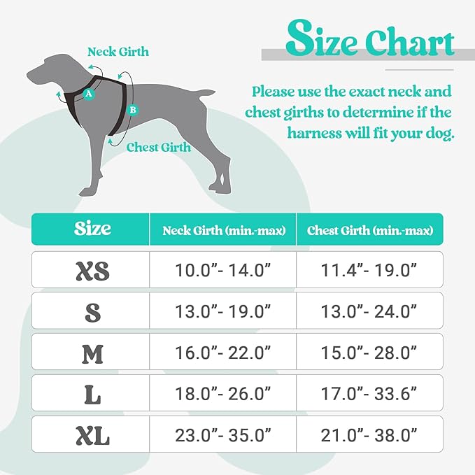 rabbitgoo Dog Harness, No-Pull Pet Harness with 2 Leash Clips, Adjustable Soft Padded Dog Vest, Reflective No-Choke Pet Oxford Vest with Easy Control Handle for Large Dogs, Black & Turquoise, X-Small