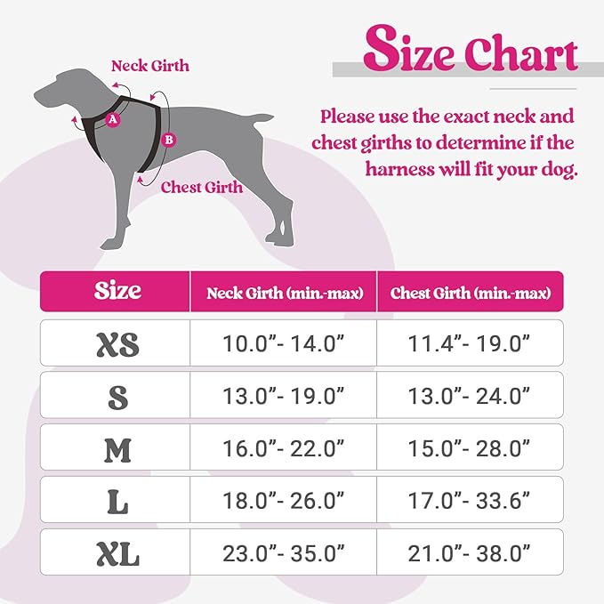 rabbitgoo Dog Harness, No-Pull Pet Harness with 2 Leash Clips, Adjustable Soft Padded Dog Vest, Reflective No-Choke Pet Oxford Vest with Easy Control Handle for Small Dogs, Hot Pink, XS