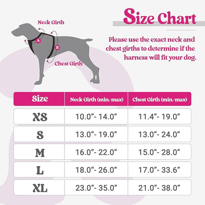 rabbitgoo Dog Harness, No-Pull Pet Harness with 2 Leash Clips, Adjustable Soft Padded Dog Vest, Reflective No-Choke Pet Oxford Vest with Easy Control Handle for Small Dogs, Hot Pink, XS
