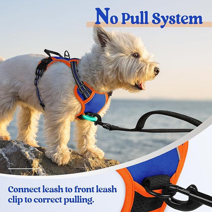 rabbitgoo Dog Harness, No-Pull Pet Harness with 2 Leash Clips, Adjustable Soft Padded Dog Vest, Reflective No-Choke Pet Oxford Vest with Easy Control Handle for Large Dogs, Blue & Orange, XS