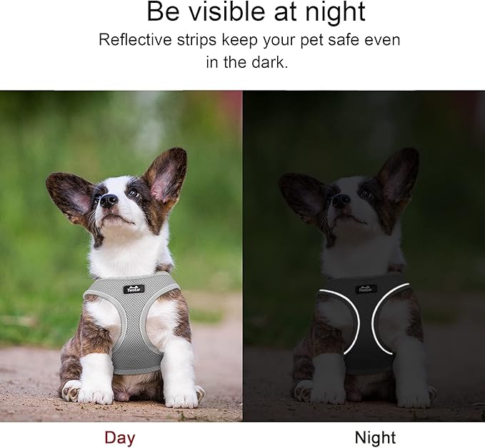 TwoEar Dog Vest Harness Reflective, No-Pull Pet Harness Easy Control with Breathable Mesh, Soft Puppy Step-in Harness No-Choke for Outdoor Walking, Training for Small Dogs(S, Grey)