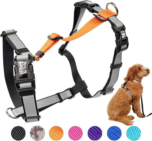 No Pull Harness with Fully Customizable Fitment for Medium Dogs - 3M Reflective Heavy Duty Harness for Walking & Training - No Choke Comfortable Collar Design, Made in USA M-Orange