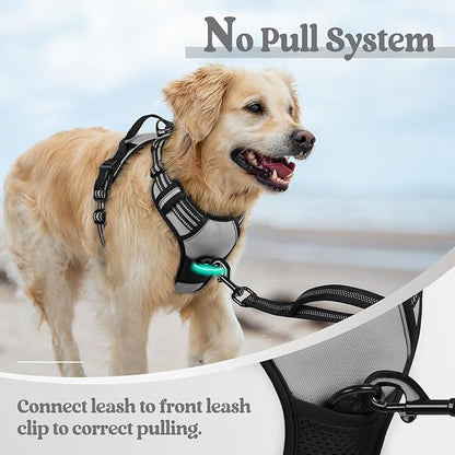 rabbitgoo Dog Harness, No-Pull Pet Harness with 2 Leash Clips, Adjustable Soft Padded Dog Vest, Reflective No-Choke Pet Oxford Vest with Easy Control Handle for Small Dogs, Grey, S