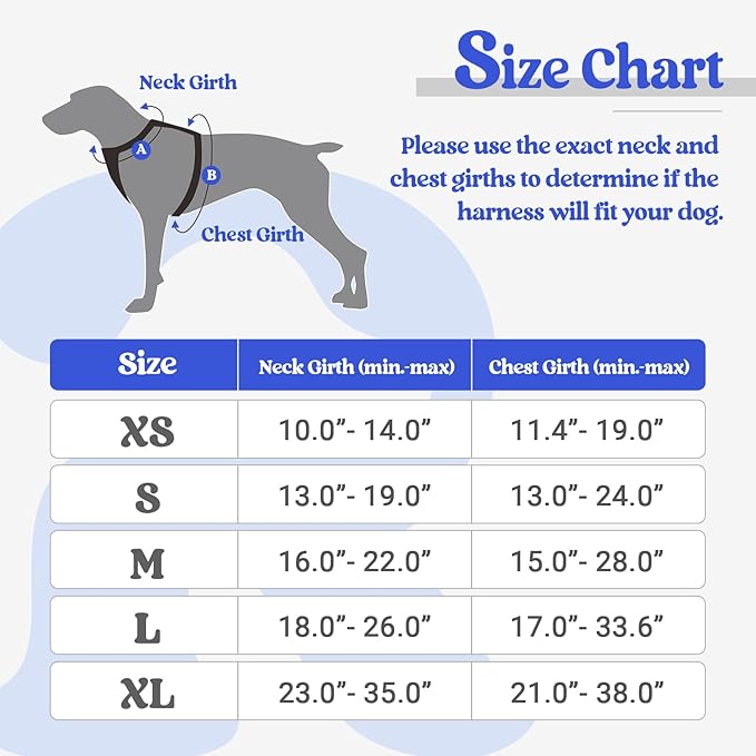 rabbitgoo Dog Harness, No-Pull Pet Harness with 2 Leash Clips, Adjustable Soft Padded Dog Vest, Reflective No-Choke Pet Oxford Vest with Easy Control Handle for Small Dogs, Dazzling Blue, S