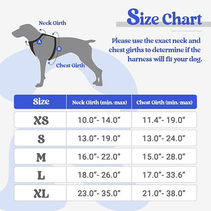 rabbitgoo Dog Harness, No-Pull Pet Harness with 2 Leash Clips, Adjustable Soft Padded Dog Vest, Reflective No-Choke Pet Oxford Vest with Easy Control Handle for Small Dogs, Dazzling Blue, S