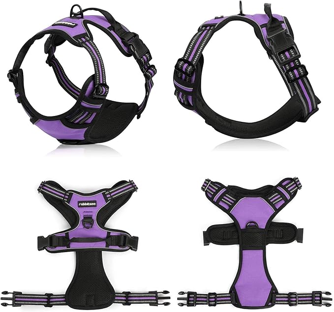 rabbitgoo Dog Harness, No-Pull Pet Harness with 2 Leash Clips, Adjustable Soft Padded Dog Vest, Reflective No-Choke Pet Oxford Vest with Easy Control Handle for Small Dogs, Purple, S