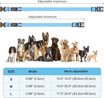 Light Up Dog Collar - BSEEN LED Dog Collar Rechargeable Lighted Dog Collar Reflective Glow Collars for Dogs, Super Bright Dog Lights for Night Walking (Blue-II, Large)
