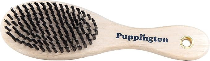 2-in-1 Dog Grooming and Deshedding Brush for Small and Large Dogs - Dog Brush for Shedding Short Haired and Long Haired Dogs