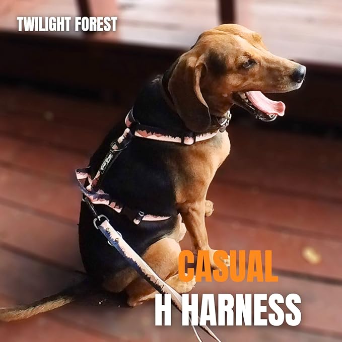Casual H Dog Harness, No-Pull Pet Harness with 2 Leash Clips, Twilight Forest Gradiant Color, Adjustable Soft Padded Dog Vest for Small Medium Large Dogs (L)