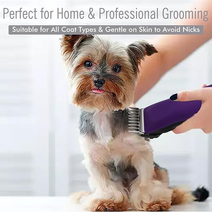 Professional A5 Style Animal Clipper Stainless Steel Color-Coded Snap-on Attachment Guard Guide Comb, 1/8"-1" Compatible with Wahl KM Series Oster A5 Andis Detachable Blade Pet Groomers (#1 - 1/8")