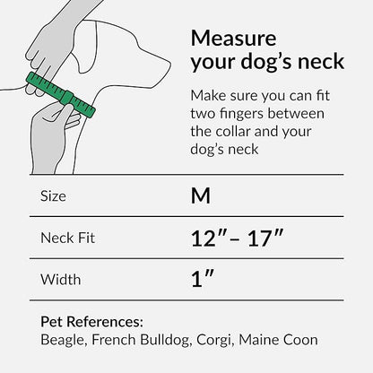 CollarDirect Martingale Collars for Dogs Heavy Duty Floral Pattern Female Safety Nylon Training Wide Collar Flower Design Large Medium (M, Neck Size 12"-17", Black)