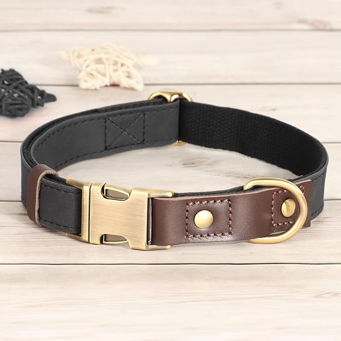 Didog Soft Padded Leather Dog Collars for Medium Dogs, Classic Heavy Duty Dog Collars with Quick Release Metal Buckle, Adjustable Medium Dog Collar Leather,Black,M