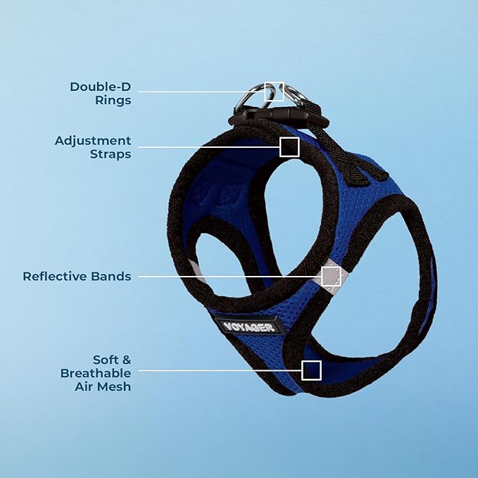 Voyager Step-in Air Dog Harness - All Weather Mesh, Reflective, No Pull Harness for Small, Medium Dogs, Cats - Secure with Hook & Loop Fastener, Buckle, Double D-Rings - Royal Blue/Black Trim, XXS