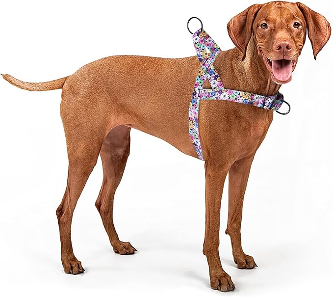 No Pull Dog Harness for Small, Medium, and Large Pets - Floral Pattern Nylon Safety Training Dog Harness (XS, Fireworks)