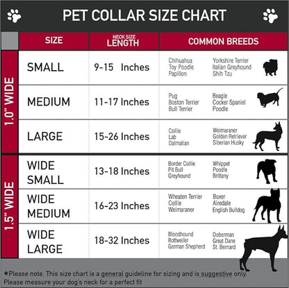 Buckle-Down Seatbelt Buckle Dog Collar - Dug 3-Poses/SQUIRREL! Brown/Yellow/White - 1" Wide - Fits 11-17" Neck - Medium