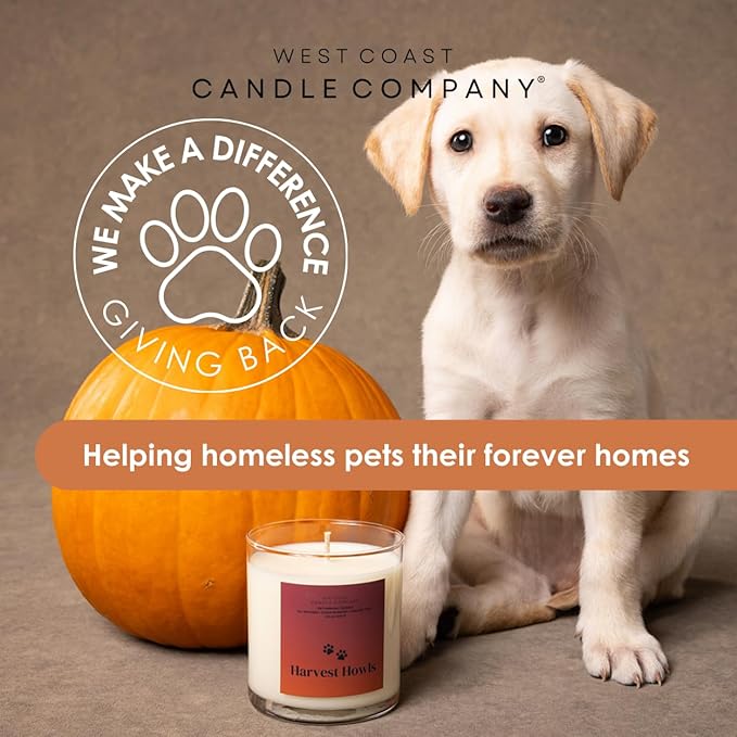 Pet Friendly Wax Melts | All Natural Dog Safe | Non-Toxic | Pet Odor Eliminator | Pure Soy | Veterinarian Approved (Pumpkin Cream Chai)