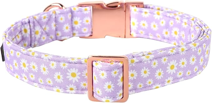 Lionet Paws Dog Collar, Comfortable Adjustable Cute Collar with Metal Buckle for Male Female Dogs Gift, Purple Daisy, Small, Neck 10-16 inches