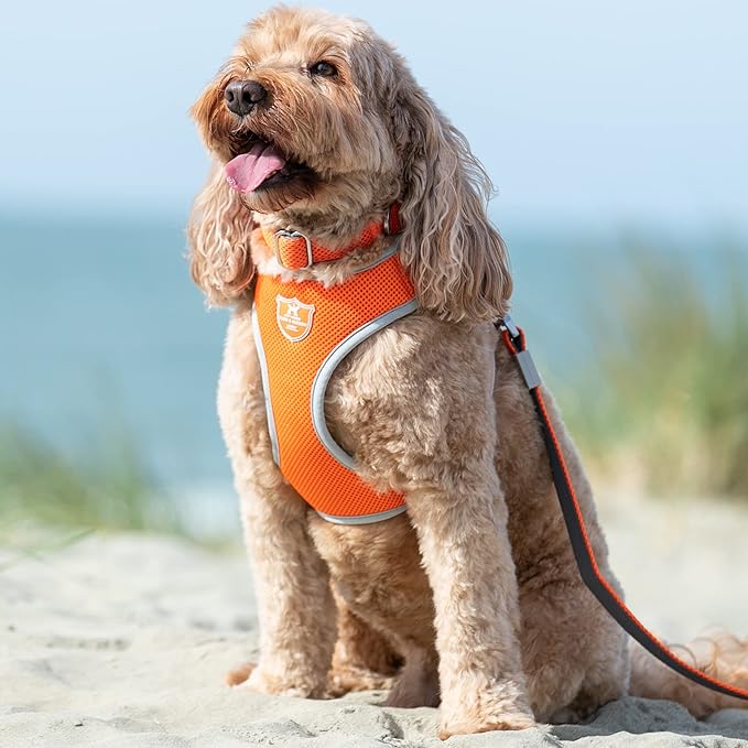 HUGO & HUDSON Dog Harness No-Pull Pet Harness Adjustable Quick Dry Mesh Padded Vest, Orange, XS