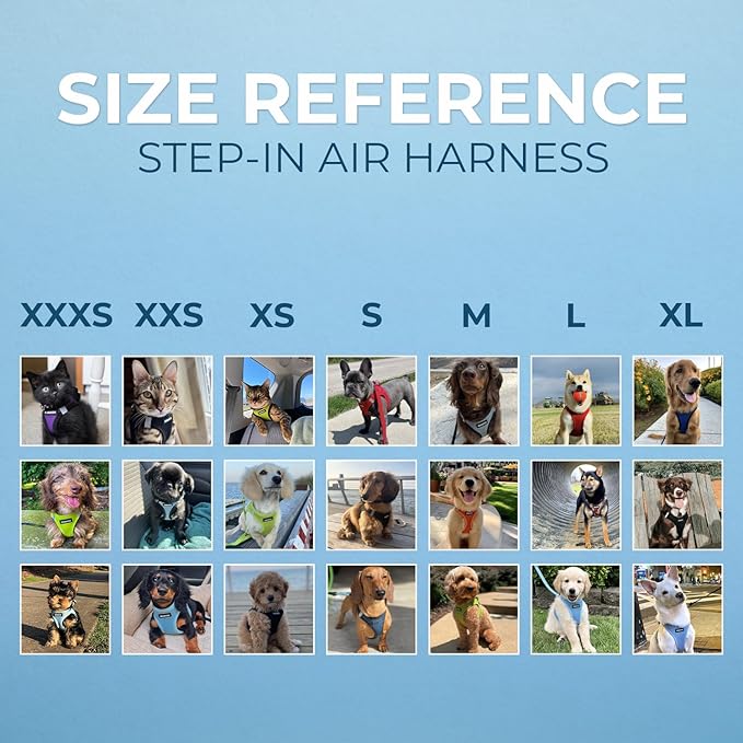 Voyager Step-in Air Dog Harness - All Weather Mesh, Reflective, No Pull Harness for Small, Medium Dogs, Cats - Secure with Hook & Loop Fastener, Buckle, Double D-Rings - Blue/Black Trim, L