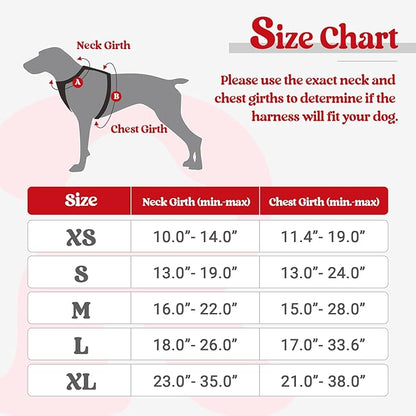 rabbitgoo Dog Harness, No-Pull Pet Harness with 2 Leash Clips, Adjustable Soft Padded Dog Vest, Reflective No-Choke Pet Oxford Vest with Easy Control Handle for Large Dogs, Red, XL