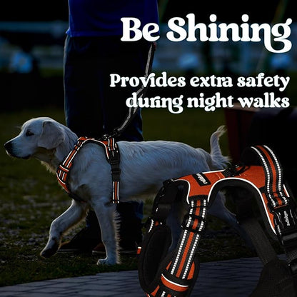 rabbitgoo Dog Harness Small Sized, No Pull Pet Harness with 3 Buckles, Adjustable Soft Padded Dog Vest with Instant Control Handle, Easy Walking Reflective Pet Vest for Small Dogs, Orange, S