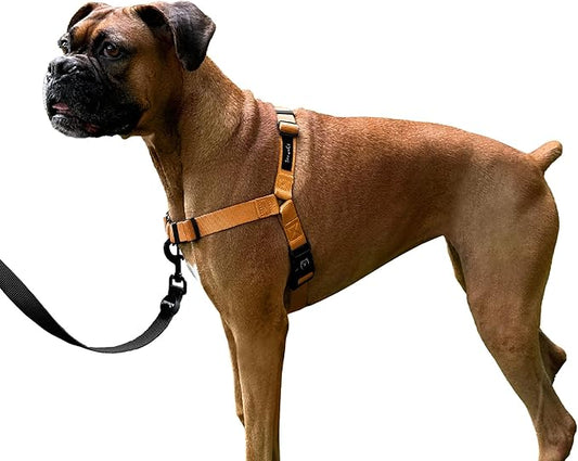 ShawnCo Dream Walk No-Pull Dog Harness- Adjustable, Comfortable, Easy to Use Pet Halter to Help Stop Pulling for Small, Medium and Large Dogs (Sunset Orange, L)