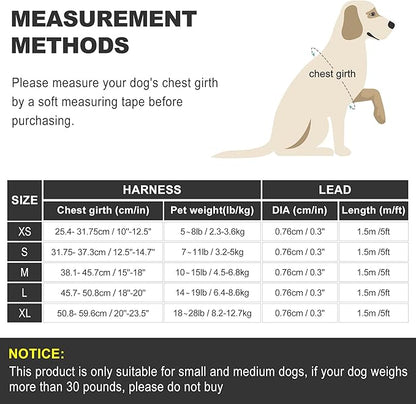 haapaw Dog Harness with Leash Set, No Pull Adjustable Reflective Step-in Puppy Harness with Thickened Padded Vest for Extra-Small/Small Medium Dogs