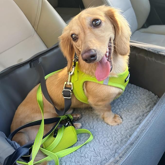 Voyager Step-in Air Dog Harness - All Weather Mesh, Reflective, No Pull Harness for Small, Medium Dogs, Cats - Secure with Hook & Loop Fastener, Buckle, Double D-Rings - Lime Green, XXS