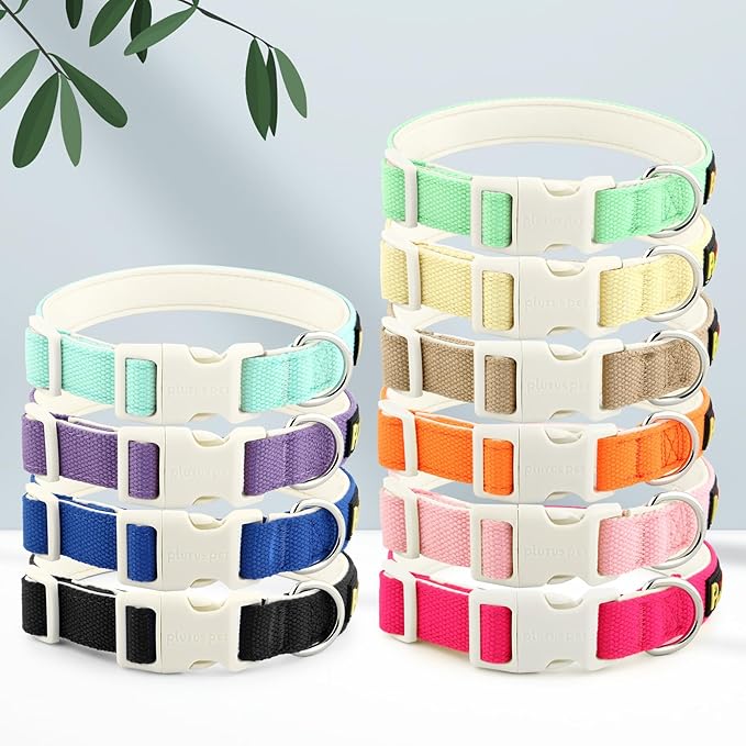 Plutus Pet Cotton Dog Collar, Heavy Duty Collar with Soft Padding, Adjustable and Comfortable for Small Medium and Large Dogs, Royal Blue, XS