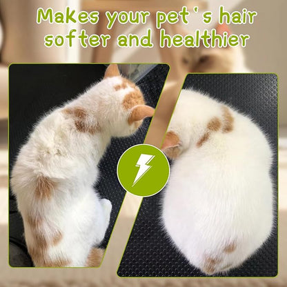 Pet Steamy Brush, White